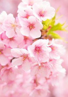 好きという気持ち(3話と4話反対になってます。)