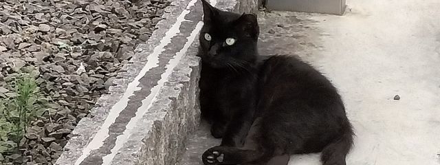 翔さんの壁紙画像