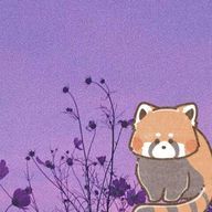 Raccoonさんのアイコン画像