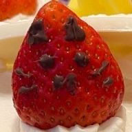 推しの推しは推し。さんのアイコン画像