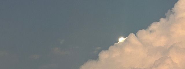 Pichuさんの壁紙画像