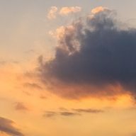 Gonさんのアイコン画像