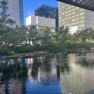 サラダチキンさんのアイコン画像