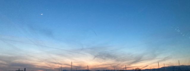 ささぱんださんの壁紙画像