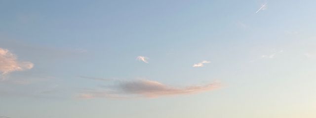 むーさんの壁紙画像