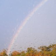 💡さんのアイコン画像