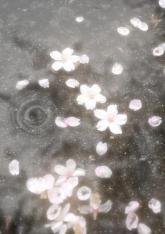 春、君たちに出会ってしまった