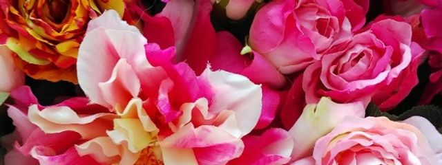 @愛ピク(*´ー`*)なんじゃこらすっぱ。さんの壁紙画像