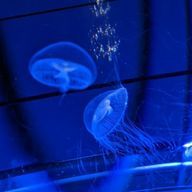 あやや0929さんのアイコン画像