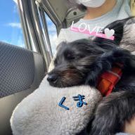 🤍𝕂𝕦𝕞𝕒𝕜𝕚𝕔𝕚🤍さんのアイコン画像