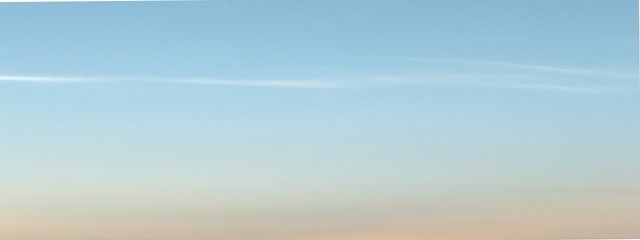 春さんの壁紙画像