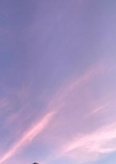 「参加型」訳あって知らん人とシェアハウスすることになった件。