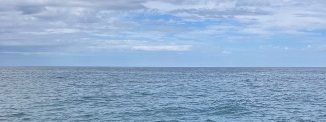 あおちさんの壁紙画像