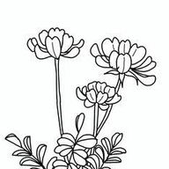 蓮音菜さんのアイコン画像