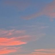 萌花さんのアイコン画像