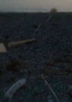 なんでしょうね
