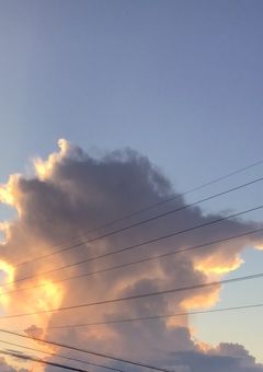 俺の愛した人は俺の声が聞こえません。