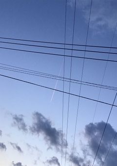 後輩みたいな先輩