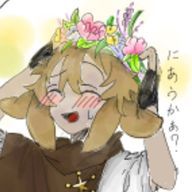 狐さんのアイコン画像