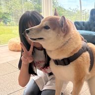 フォロバひゃくぱーはる🐶🍼さんのアイコン画像