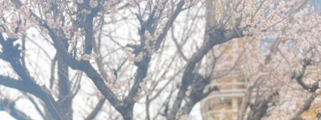 hanaさんの壁紙画像