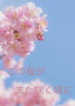 この桜がまた咲く頃に