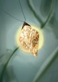 ヒルガオが咲く頃には　2