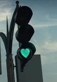 振り回されながらも頑張ります！