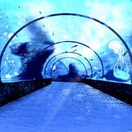 AYAKAさんのアイコン画像