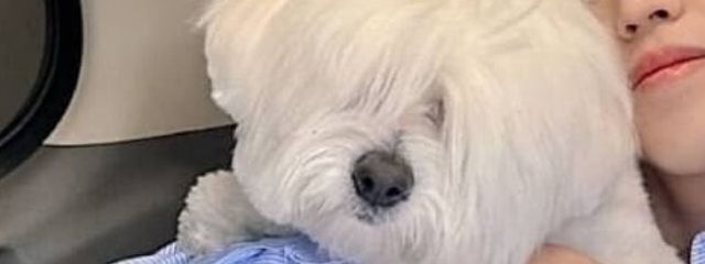 　salaraさんの壁紙画像