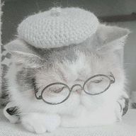 凪紗さんのアイコン画像