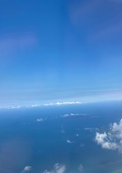 最後の夏、君は僕に恋をした。