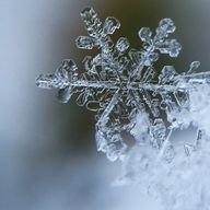 　雪 斗さんのアイコン画像