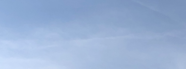 rin   (*´꒳`*)さんの壁紙画像