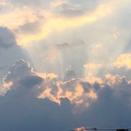 rin   (*´꒳`*)さんのアイコン画像