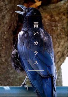 青いカラス
