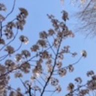 ***さんのアイコン画像