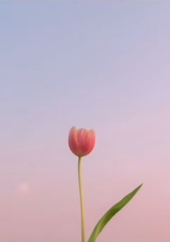 恋の戦力外通告をされる前に。