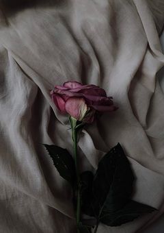 孤独のヴァンパイア