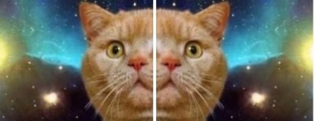 むさんの壁紙画像