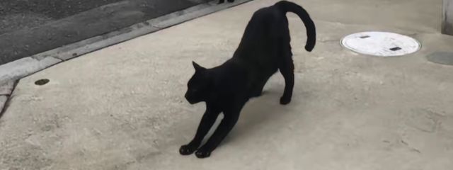 実 .さんの壁紙画像