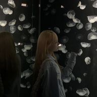 れいさんのアイコン画像