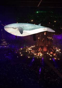 セカオワの愛され担当はクラゲになりたい