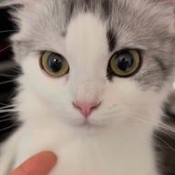 ㄴㅁさんのアイコン画像