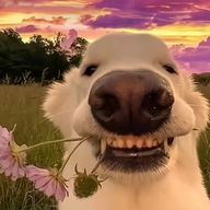 ムーミンさんのアイコン画像