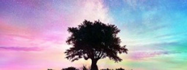 蓮花さんの壁紙画像