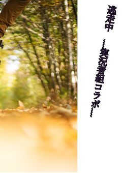 逃走中　~実況者組コラボ~