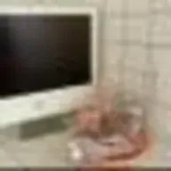 luv_utanさんのアイコン画像