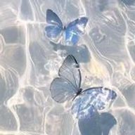 ｺ ﾊ ｸ ﾄ ｳ さんのアイコン画像