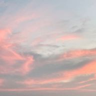 海苔塩さんのアイコン画像